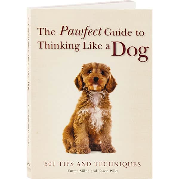 The Pawfect Guide To Thinking Like A Dog