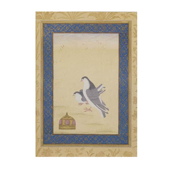 Birds From The Dara Shikoh Album Boxed Notecards