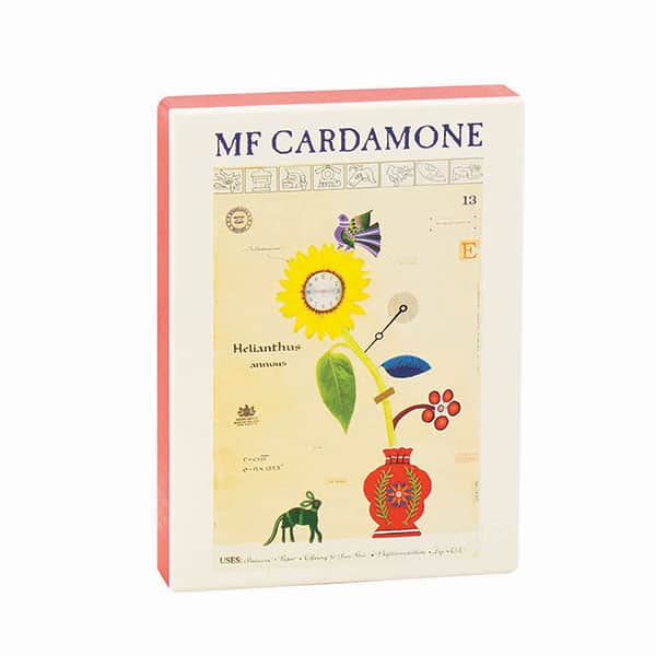 Mf Cardamone Boxed Notecards