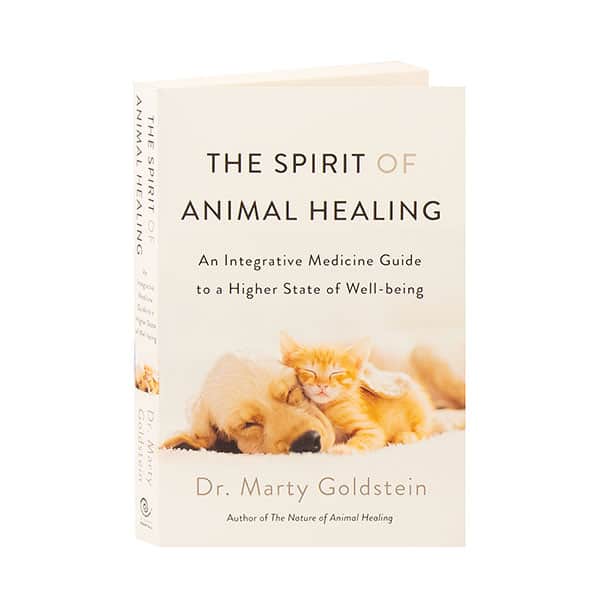The Spirit Of Animal Healing