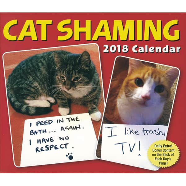 Cat Shaming 2018 Daily Calendar