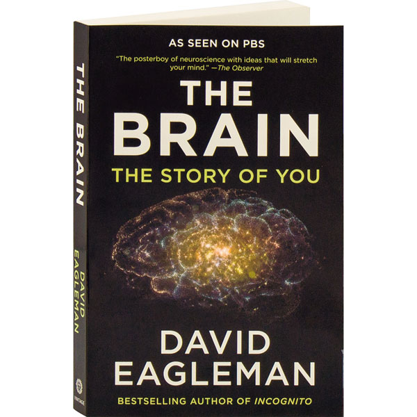 Product image for The Brain