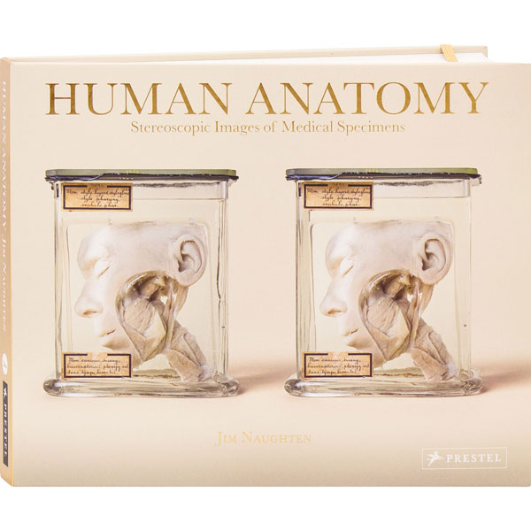 Product image for Human Anatomy