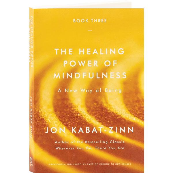 The Healing Power Of Mindfulness
