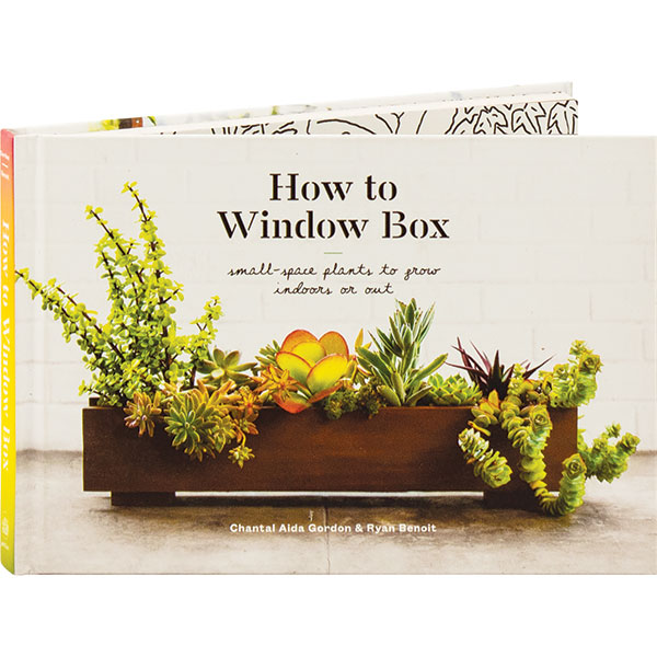 Product image for How To Window Box