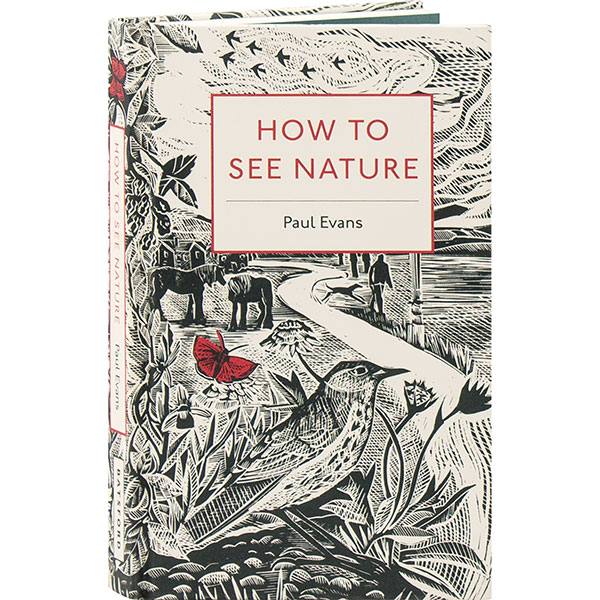 Product image for How To See Nature