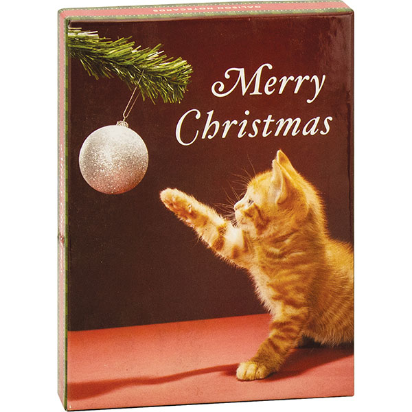 Merry Christmas Kitty Boxed Holiday Notecards