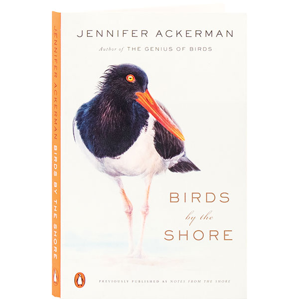 Product image for Birds By The Shore