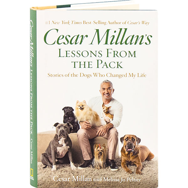 Cesar Millan's Lessons From The Pack