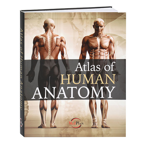 Product image for Atlas Of Human Anatomy