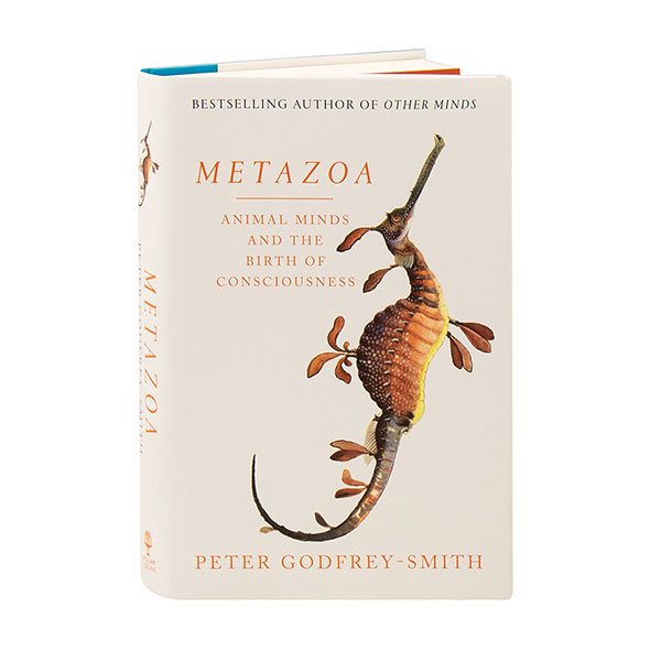 Product image for Metazoa