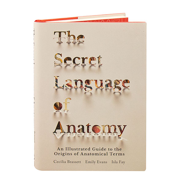 Product image for The Secret Language Of Anatomy