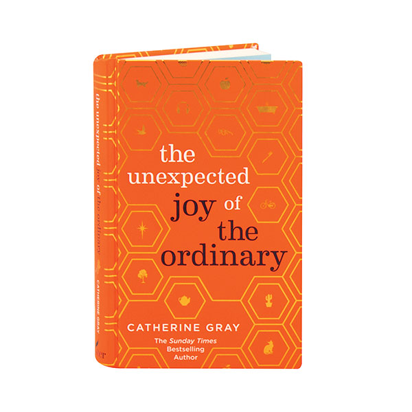 The Unexpected Joy Of The Ordinary