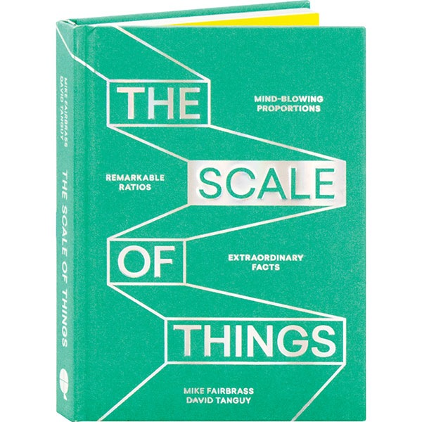 The Scale Of Things