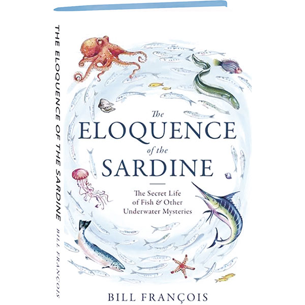 Product image for The Eloquence Of The Sardine