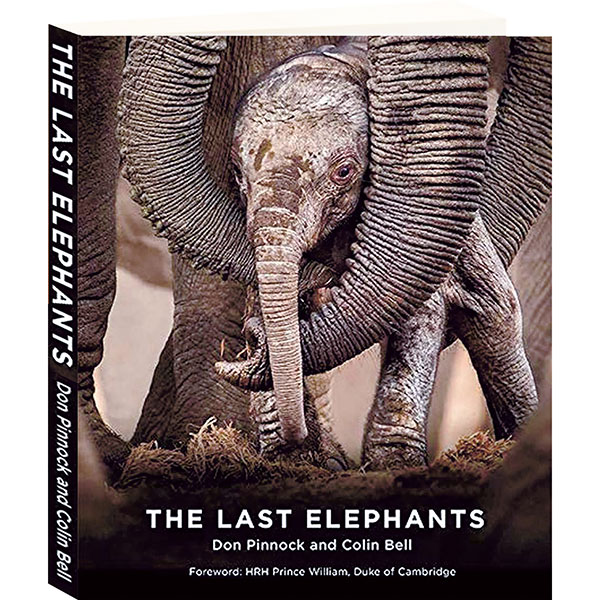The Last Elephants
