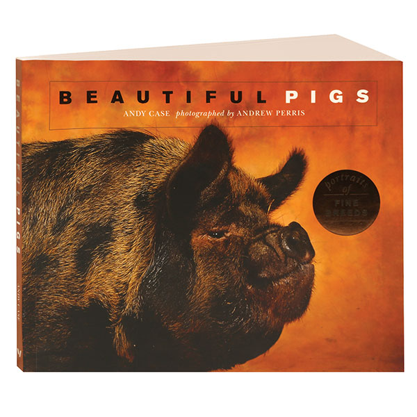 Beautiful Pigs