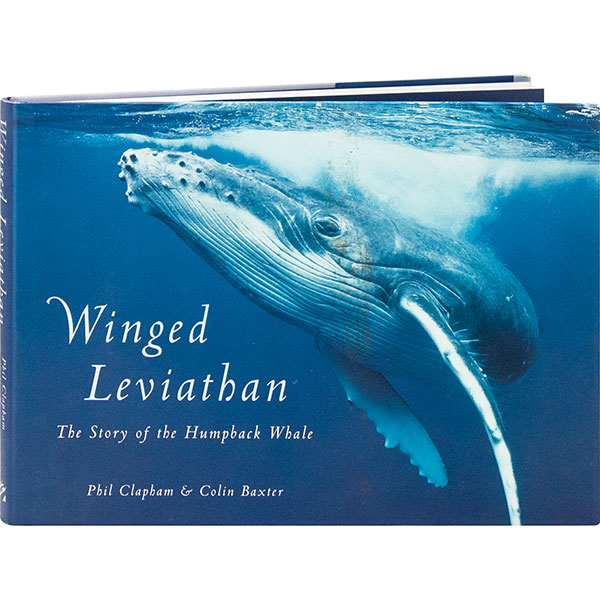 Product image for Winged Leviathan