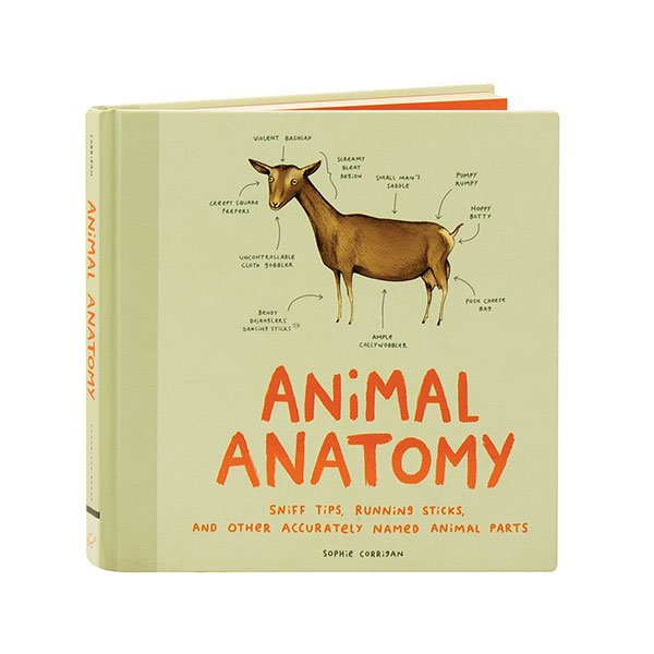 Product image for Animal Anatomy