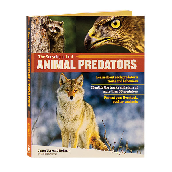 Product image for The Encyclopedia Of Animal Predators