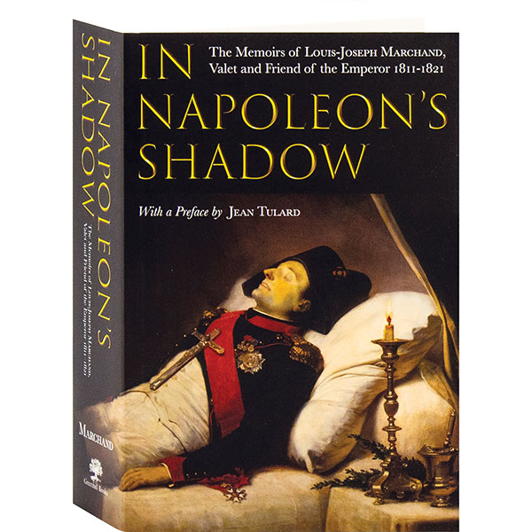 Product image for In Napoleon's Shadow
