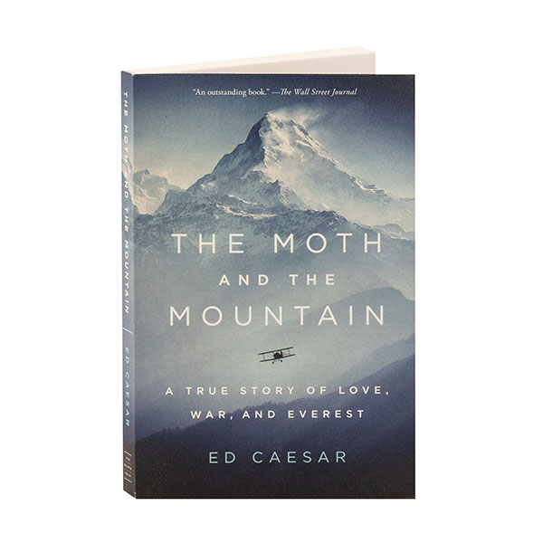 The Moth And The Mountain