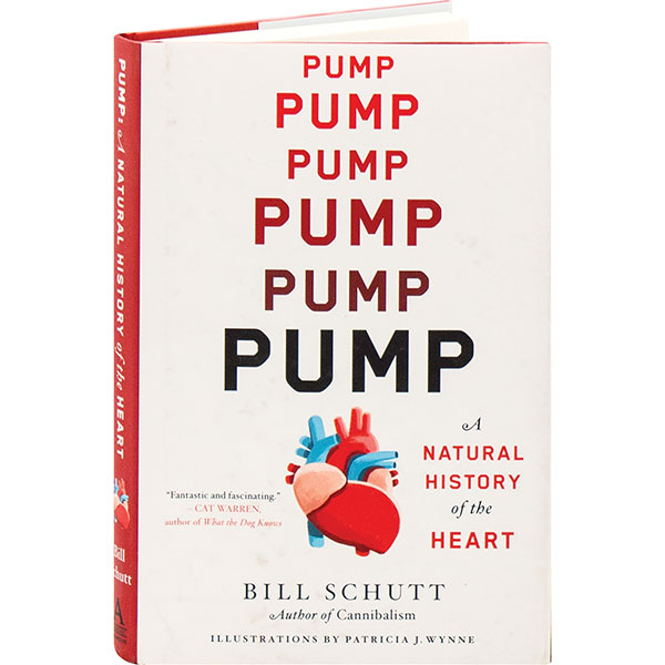 Product image for Pump