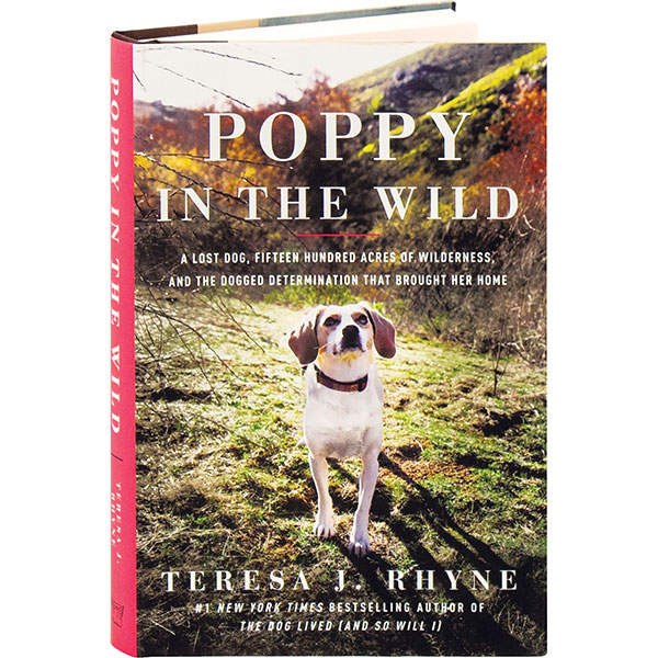 Product image for Poppy In The Wild