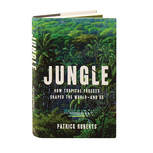 Product image for Jungle