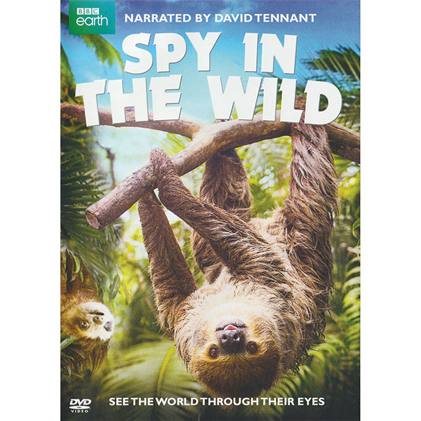 Spy In The Wild: Part 1