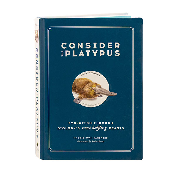 Product image for Consider The Platypus
