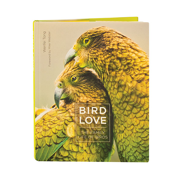 Product image for Bird Love 