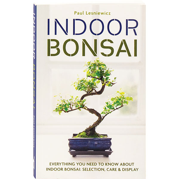 Product image for Indoor Bonsai