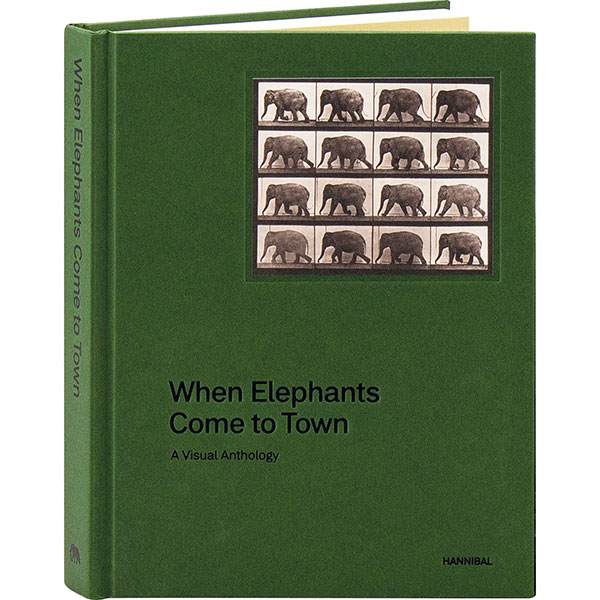 Product image for When Elephants Come To Town