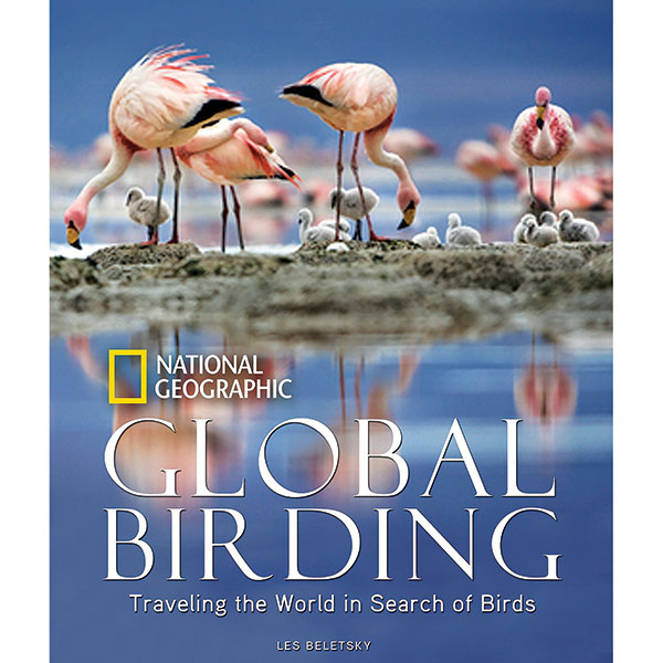 Global Birding