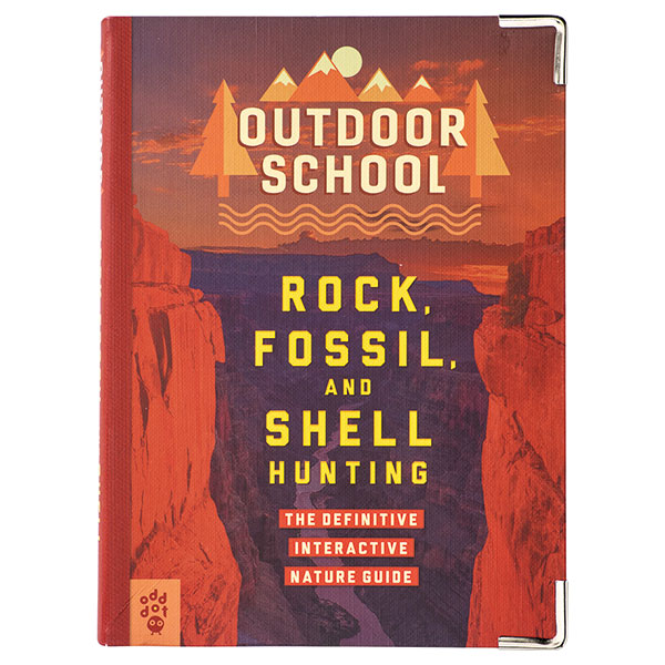 Outdoor School: Rock Fossil And Shell Hunting