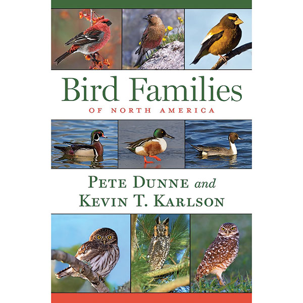 Bird Families Of North America