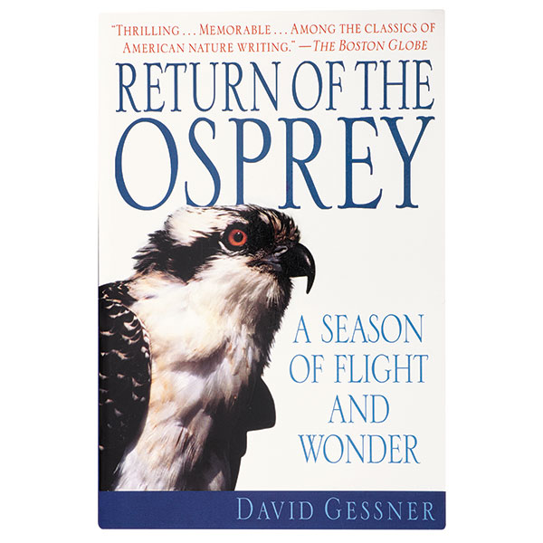 Return Of The Osprey