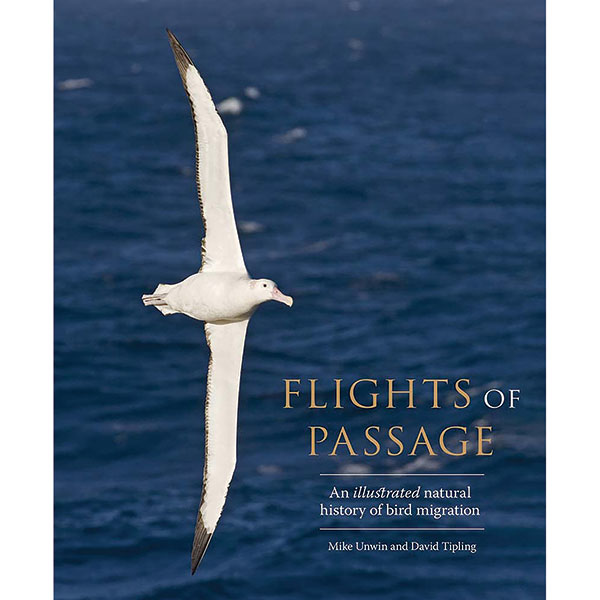 Flights Of Passage