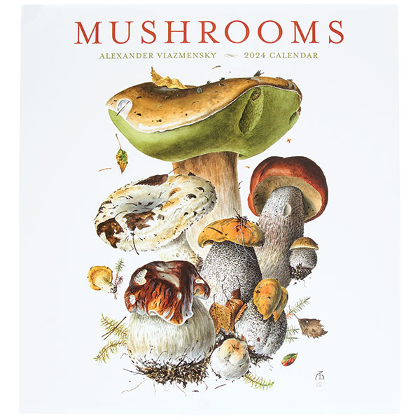 Mushrooms 2024 Wall Calendar