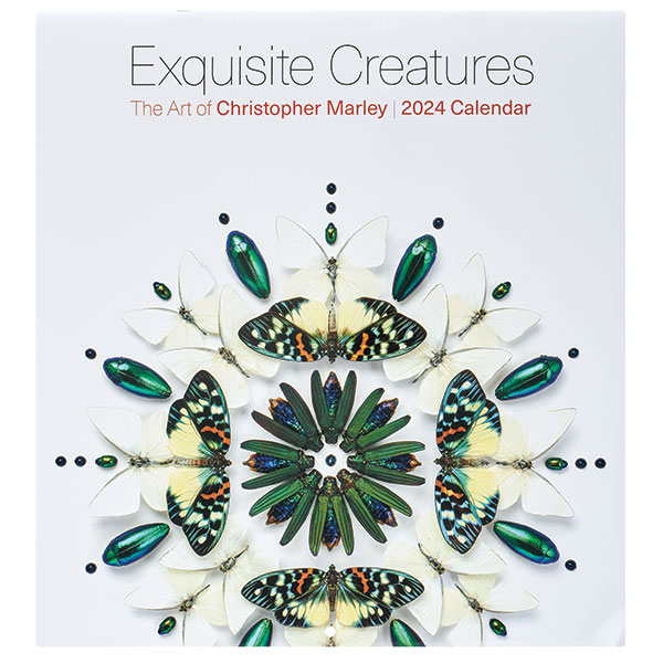 Exquisite Creatures 2024 Wall Calendar