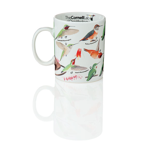 Cornell Hummingbirds Mug