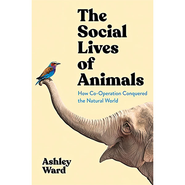 The Social Lives Of Animals