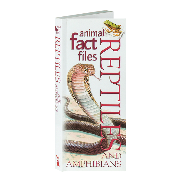 Animal Fact Files: Reptiles and Amphibians