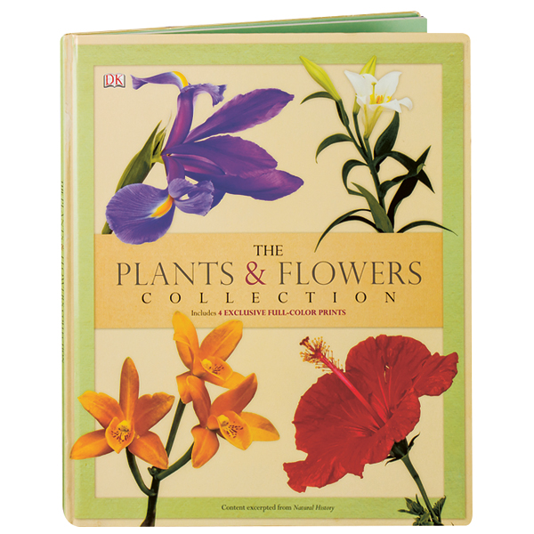 The Plants & Flowers Collection