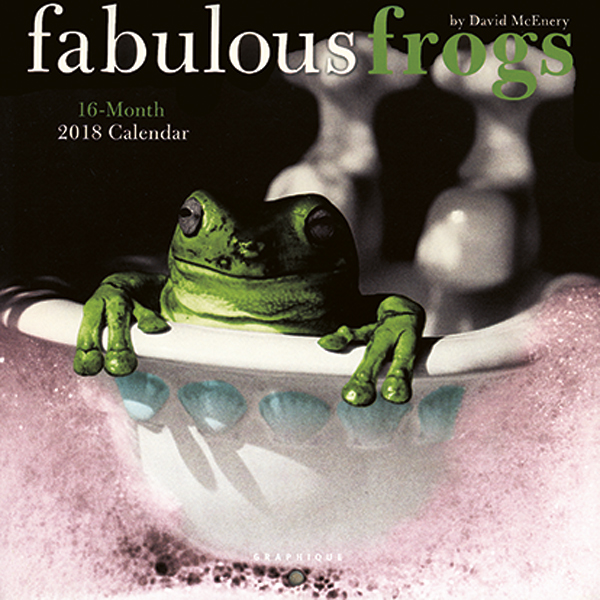 Fabulous Frogs 2018 Mini Wall Calendar