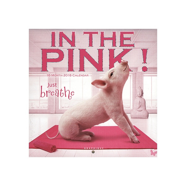 In the Pink! 2018 Mini Wall Calendar