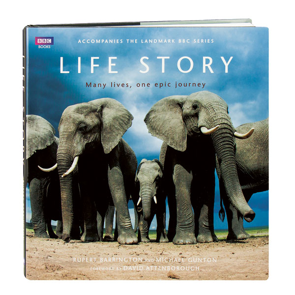 Life Story: Many Lives, One Epic Journey