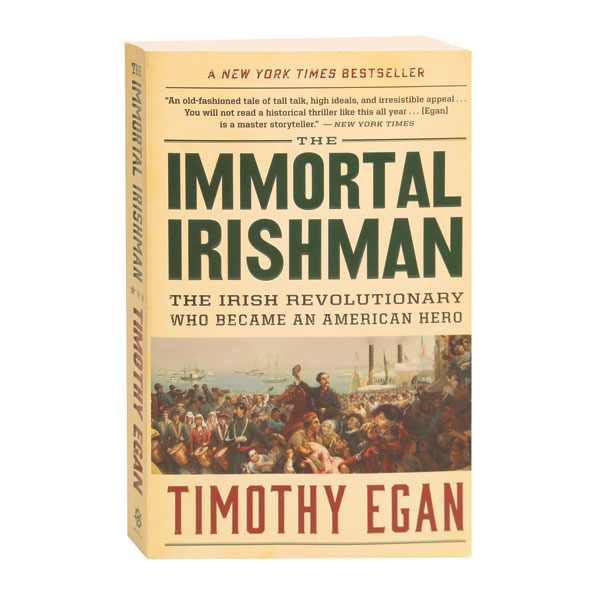 The Immortal Irishman The Irish Revolutionary Who Became An American Hero