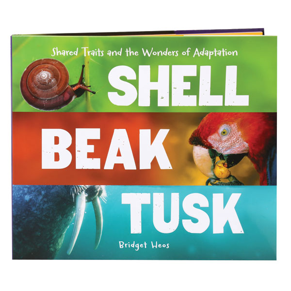 Shell Beak Tusk Shared Traits And The Wonder Of Adaptation